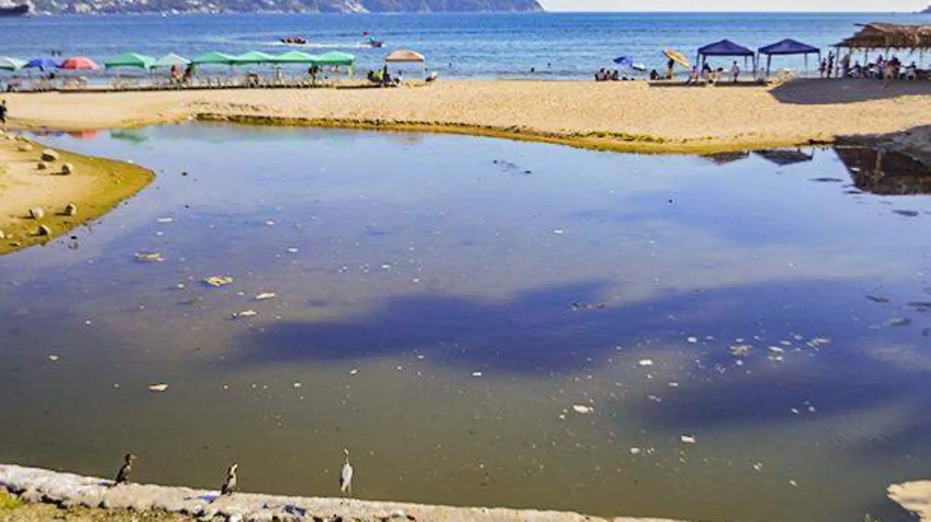 Aguas negras en playas de Acapulco 2